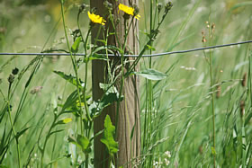 Baulandreserven